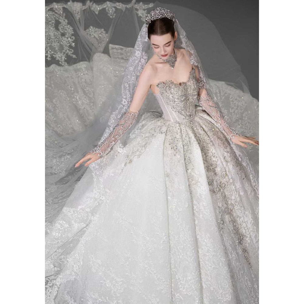 Embroidery Organza - Robe de mariée de luxe 2026
