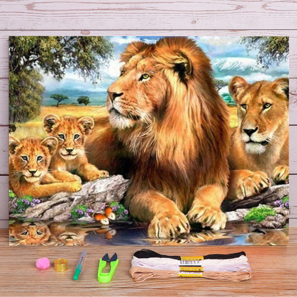 Dmc Floss Set - Ensemble de broderie au point de