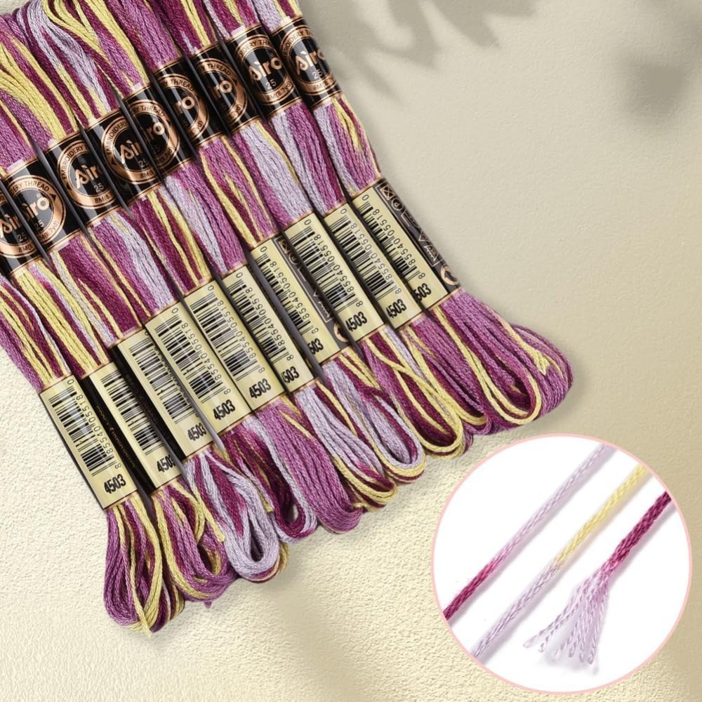 Fil à broder panaché violet, 6 - Embroidery Floss avis et prix