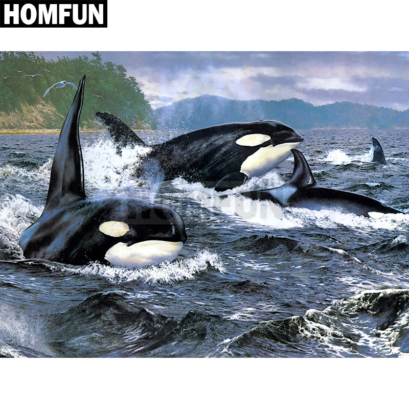 HOMFUN – peinture diamant comp - Embroidery Whale avis et prix