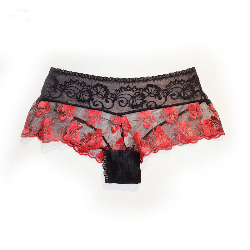 【1 pièce】lingerie femme ultra  - Embroidery Underwear avis et prix